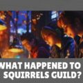 eso what happen to ninja squirrels guild