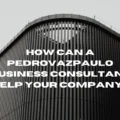 pedrovazpaulo business consultant