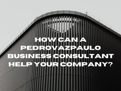 pedrovazpaulo business consultant