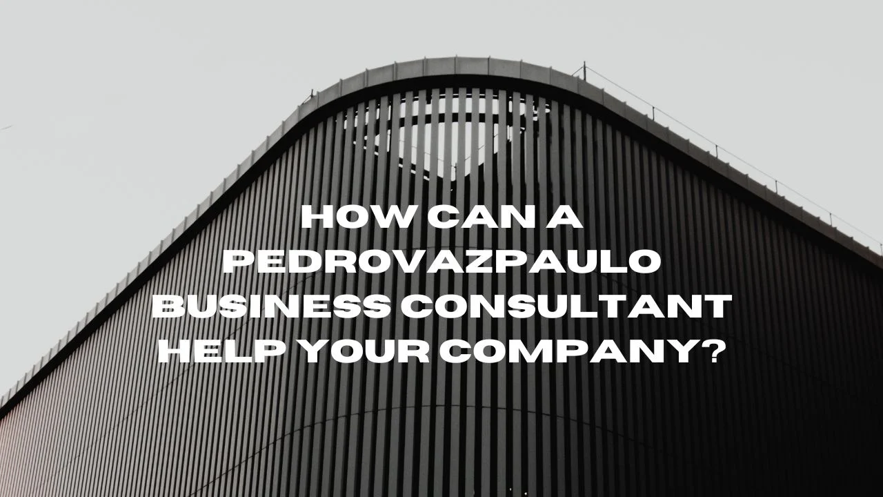 pedrovazpaulo business consultant