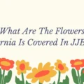 what are the flowers narnia is covered in jjba