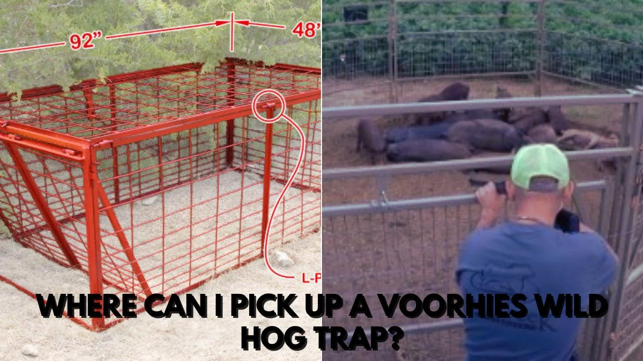 where can i pick up a voorhies wild hog trap